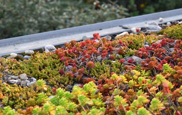 the cost of Chilton Cantelo green roof installation
