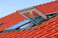 Chilton Cantelo roof window